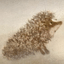 HedgeHog